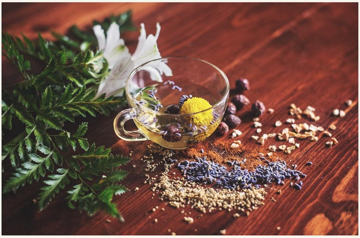 an illustration of diverse medicinal plants and bioactive natural compounds