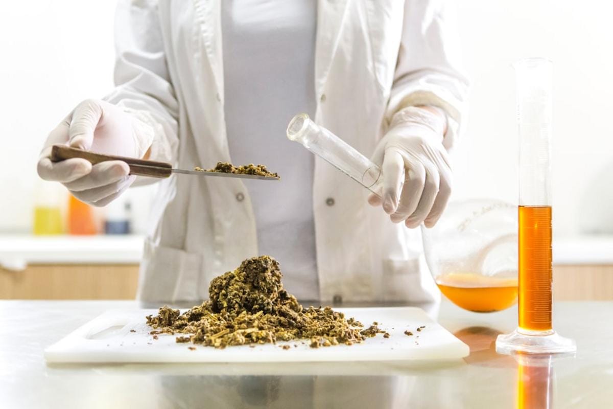 Image of Dutch research laboratory specializing in organic synthesis and natural product extraction