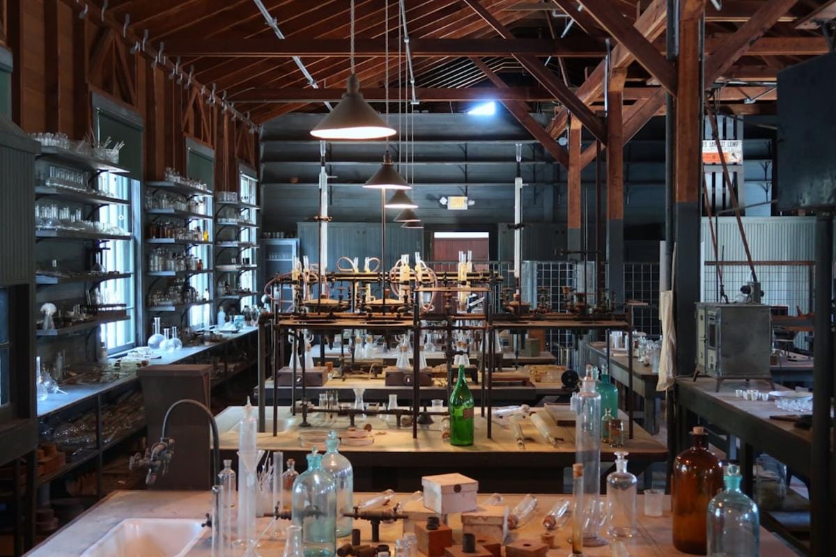 A vibrant Dutch laboratory scene showcasing natural product extraction and analysis with scientists working with plant samples and advanced equipment.