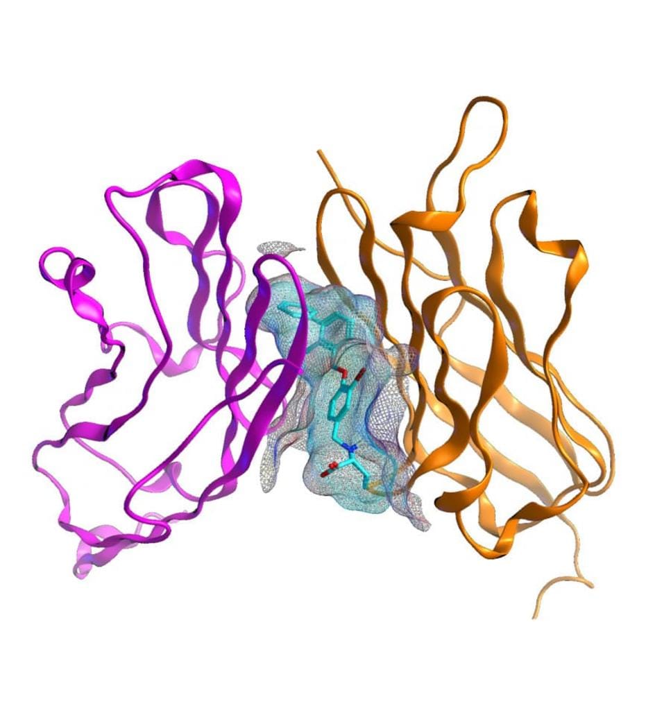 Streamline Academic Publishing with ACG Publications Article Submission Service