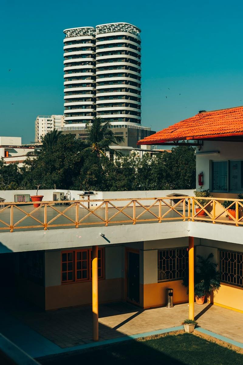 Innovative Research Advances in Natural Products and Polymers for Health Improvement in the Netherlands