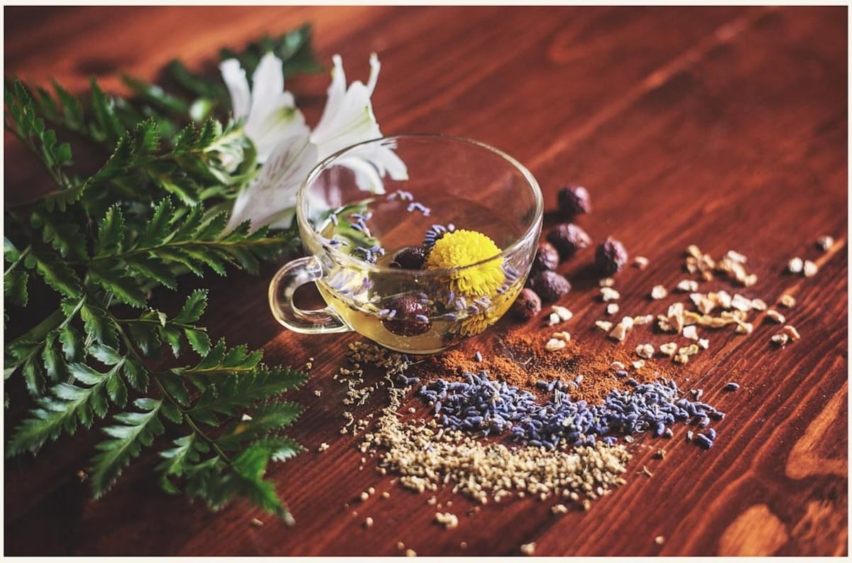 Emerging Trends in Natural Products and Polymers Advancing Health Sciences in the Netherlands