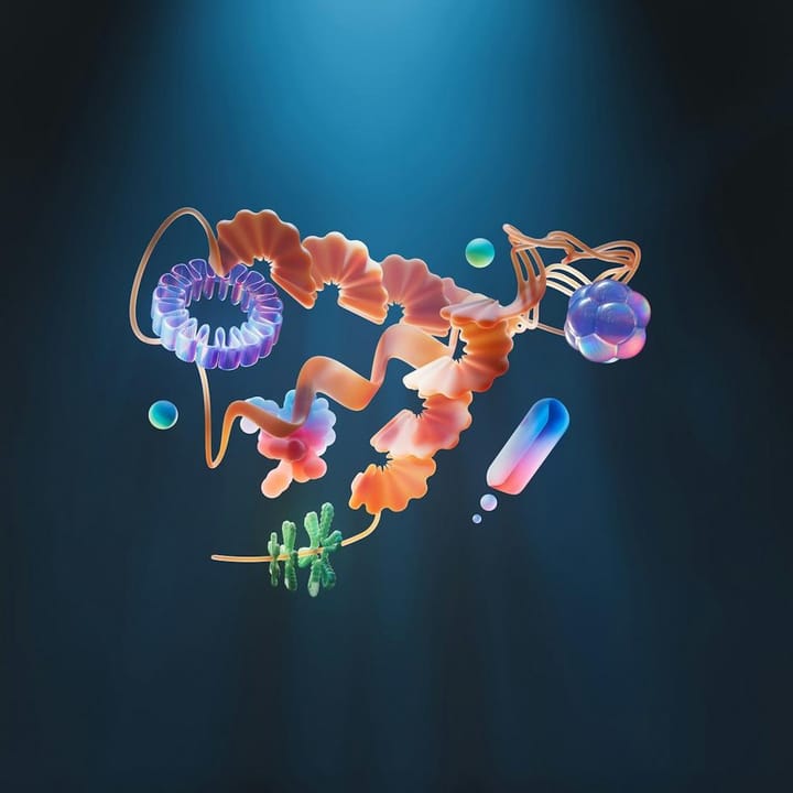 Advancing Health Science Through Organic Chemistry Innovations in Natural Products and Polymers