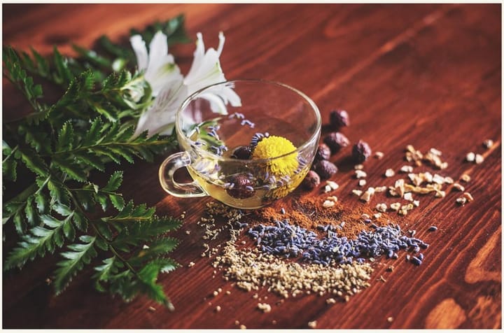 Emerging Trends in Natural Products and Polymers Advancing Health Sciences in the Netherlands