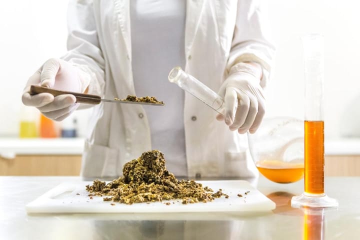 Innovative Advances in Organic Chemistry Enhancing Health Outcomes in the Netherlands